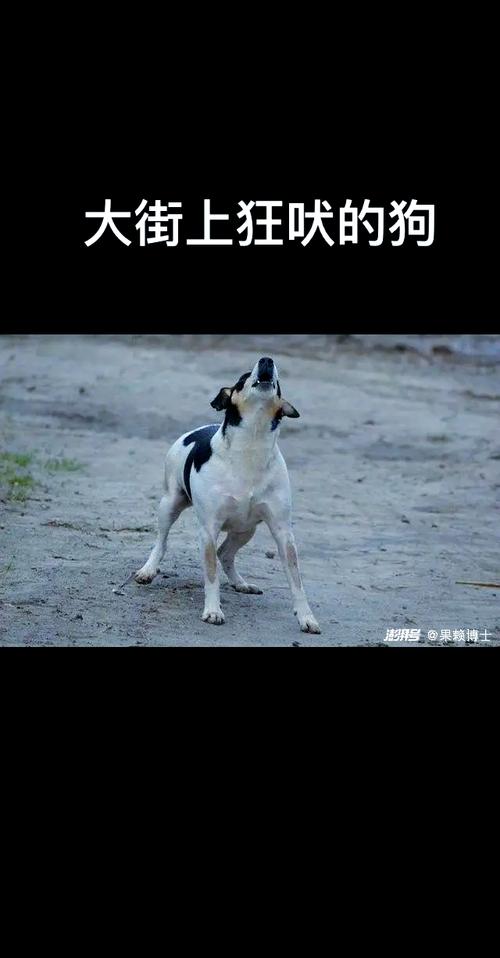 动物行为真的能预测地震吗？揭开2025年4月22日的谣言真相