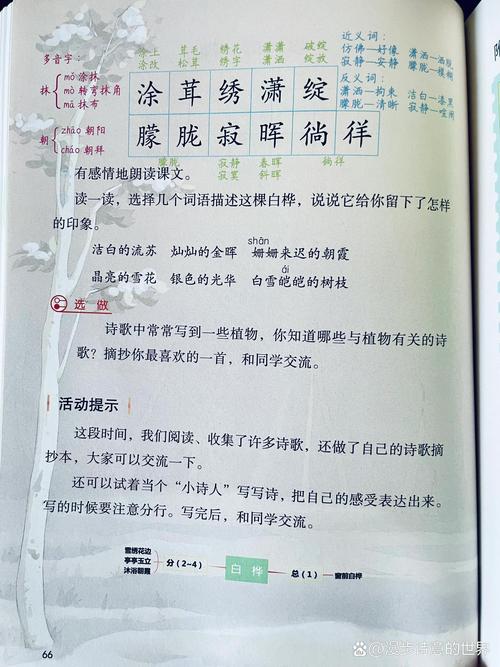 你了解梦见桦树背后的深层象征意义吗？