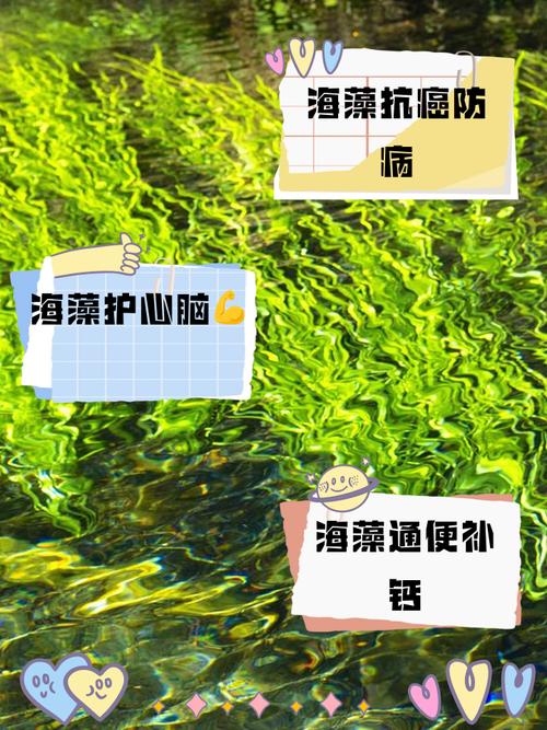 梦见海草有哪些预兆？揭示潜意识中的深层含义！