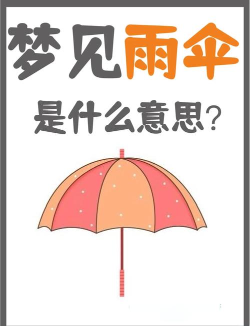 梦见打伞预示哪些？解读背后深意与应对策略