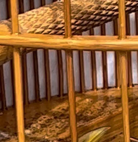 梦见画眉鸟意味着哪些？揭秘隐藏的心理暗示与运势玄机