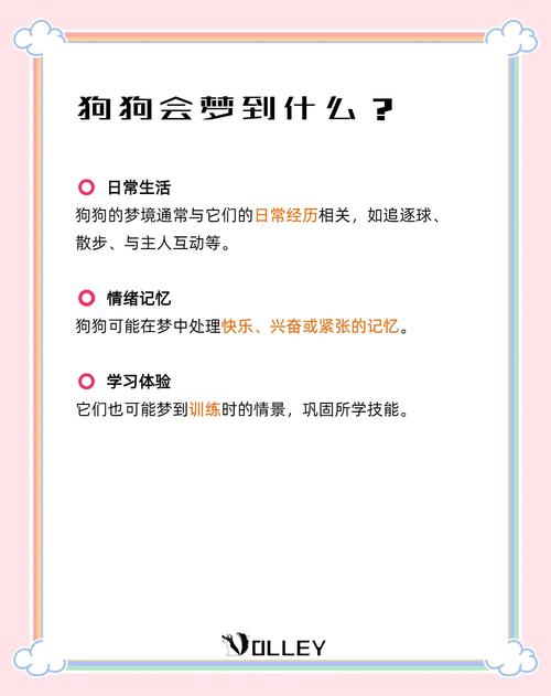 如何解读梦见狗崽子？梦境分析与心理暗示揭示真相