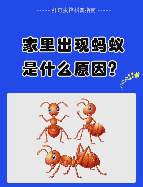 梦见蚂蚁搬家解读4大心理暗示及应对策略