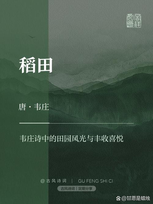 揭秘梦见稻田象征意义3大解读与心理学权威分析 揭秘梦见稻田象征意义3大解读与心理学权威分析