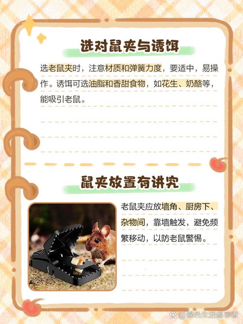 梦见捕鼠夹含义解析了解4个常见心理暗示