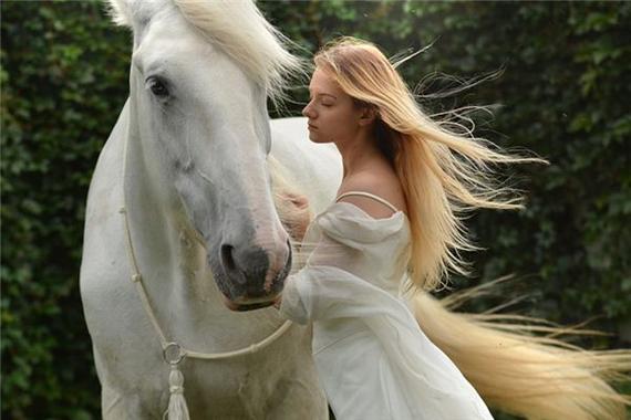 梦见给马梳毛心理解析 vs 传统解梦，哪个更贴合实际？