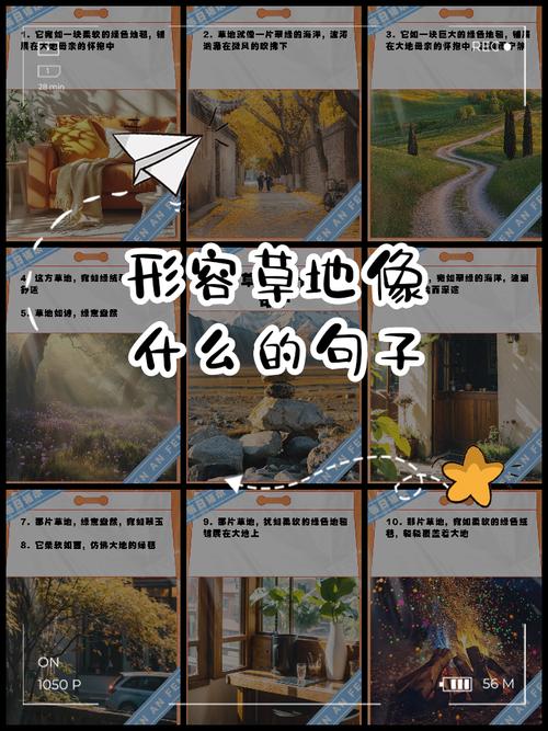 梦见草地预示着哪些？解读梦境象征与心理暗示