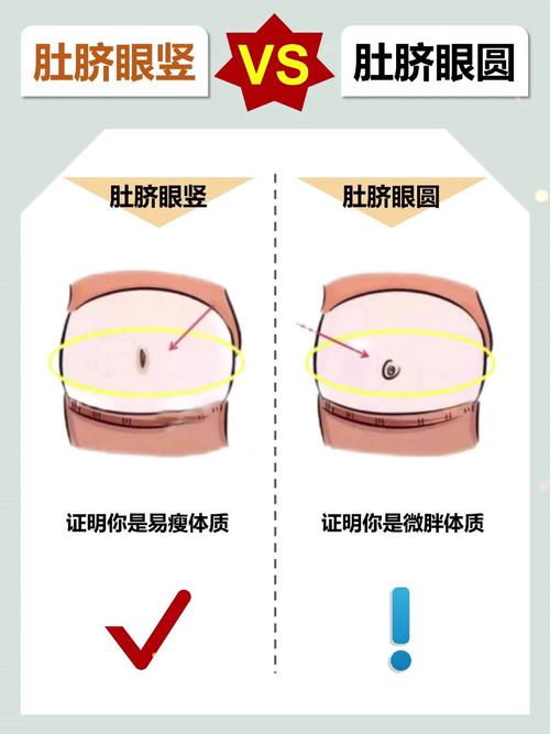 梦见肚脐眼解析心理暗示与现实意义对比