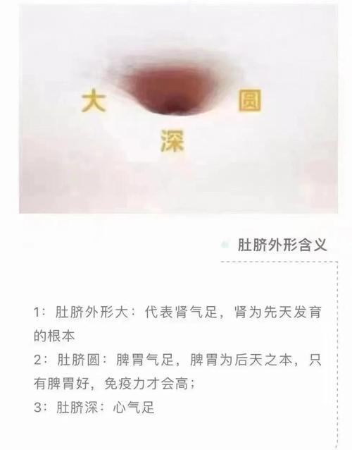 梦见肚脐眼解析心理暗示与现实意义对比