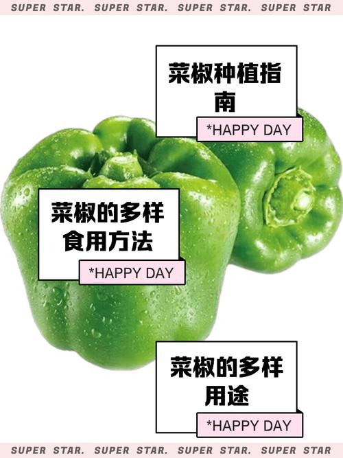 梦见菜椒预示着哪些？如何解读梦境的深层含义？