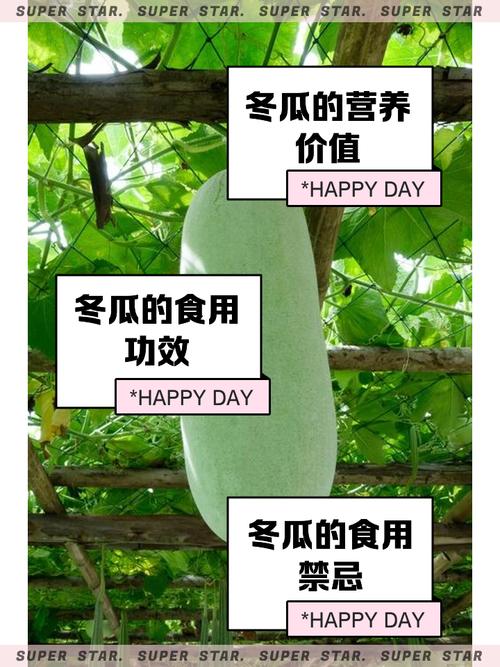 梦见冬瓜的深层象征意义，解读潜藏好运与生活智慧！