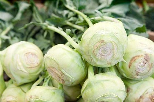 梦境解析梦见大头菜的5个心理暗示与影响