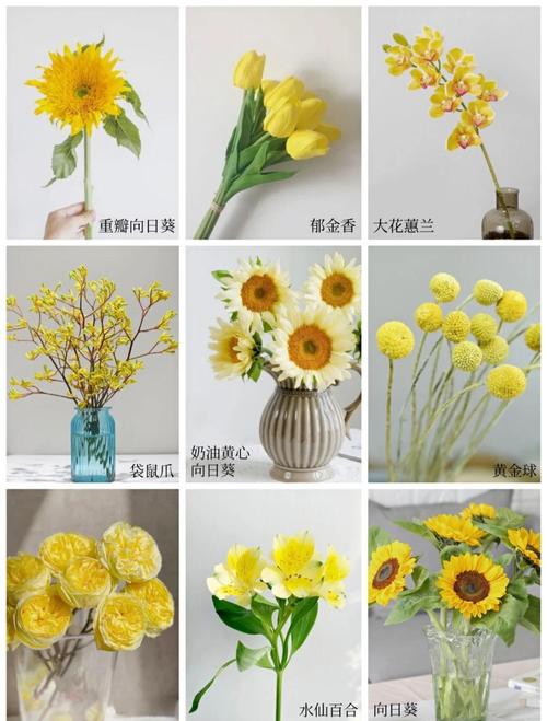 揭开梦见黄色花朵背后的秘密好运还是警示？了解梦境解析技巧！