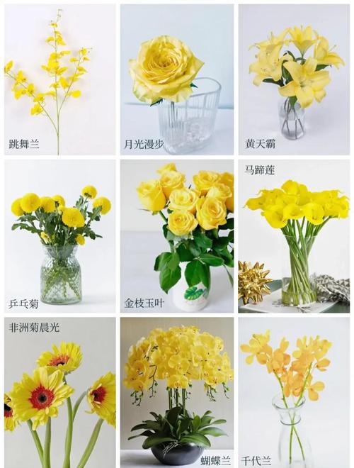 揭开梦见黄色花朵背后的秘密好运还是警示？了解梦境解析技巧！