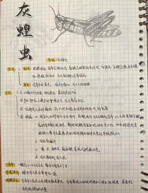 梦见蚂蚱预示哪些？解析梦境象征与隐藏含义！