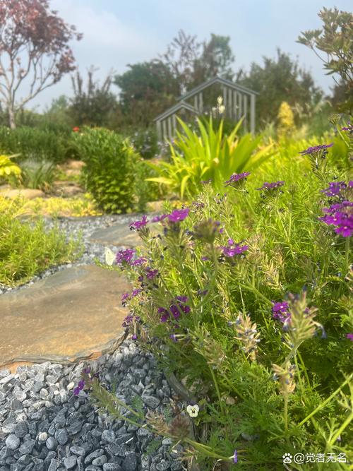 梦见花朵凋零背后的深层含义解读心理暗示与情感变化