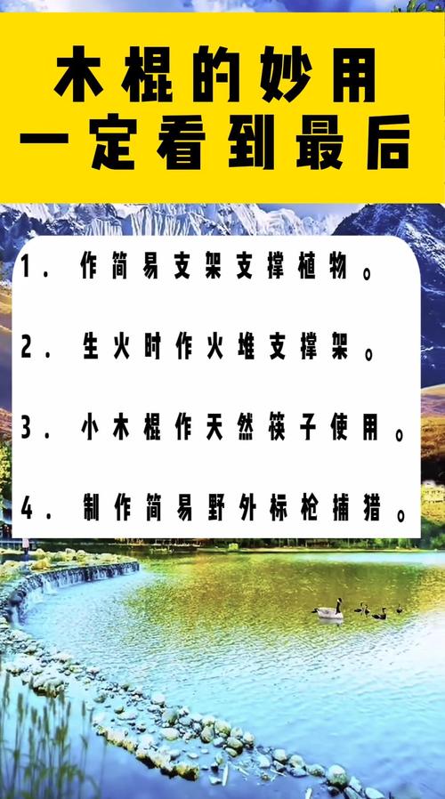 梦见木棍解析揭示7个潜在心理暗示与意义