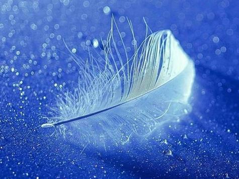 梦见大羽毛象征意义解密蕴含的深层心理暗示