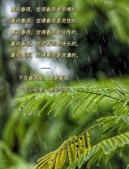 梦见春天细雨意味着哪些？解密雨中春景的心理暗示