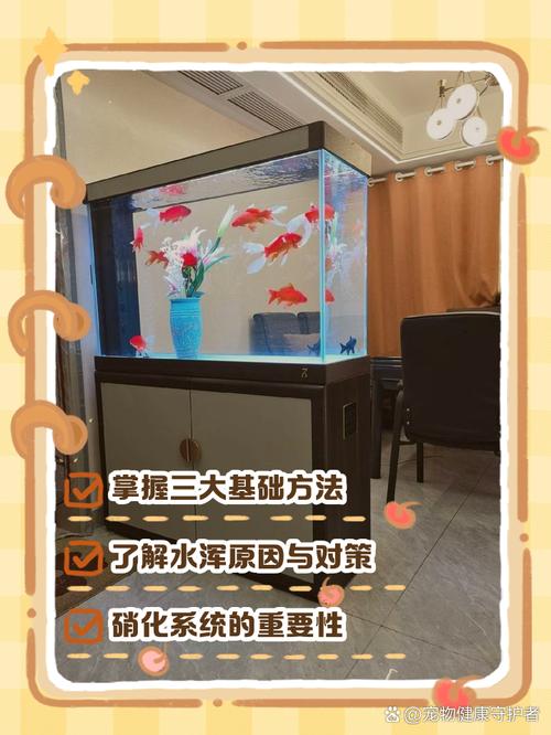 梦见鱼缸的深意解析探索背后原因和解决方案