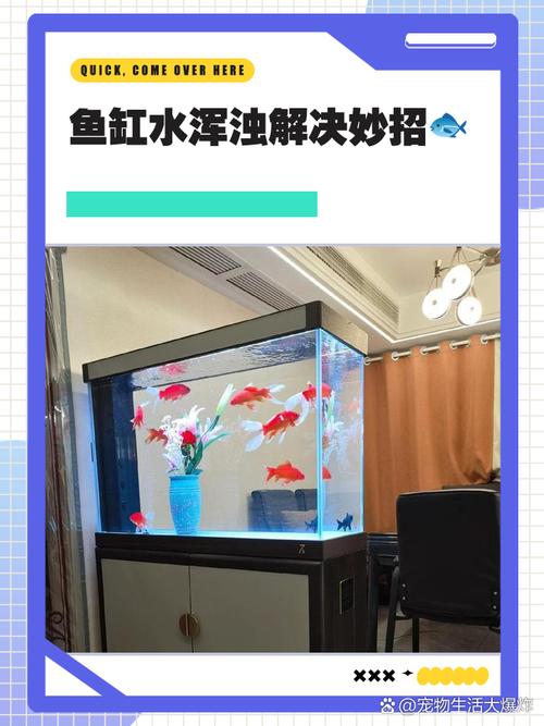 梦见鱼缸的深意解析探索背后原因和解决方案