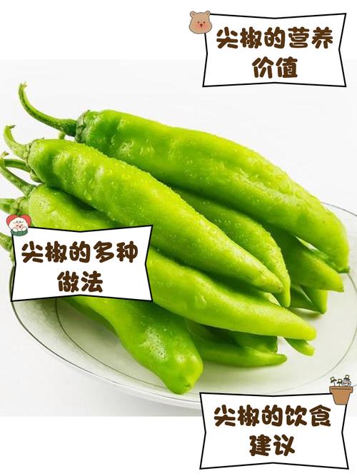 梦见尖椒预示哪些？解析梦境带来的好运与成长机遇