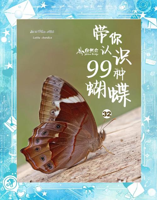 梦见黑蝴蝶预示哪些？揭示梦境背后的心理学秘密