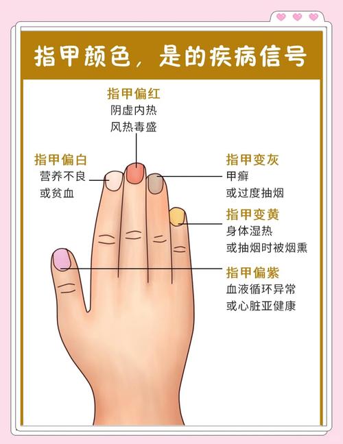 梦见指甲如何解读梦境背后的深层含义与高效解决方案