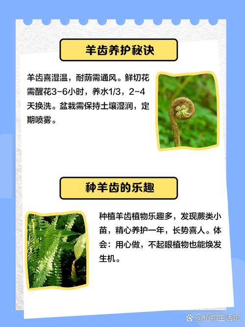 揭秘梦见羊齿科植物的心理暗示，掌握解梦技巧提升生活幸福感