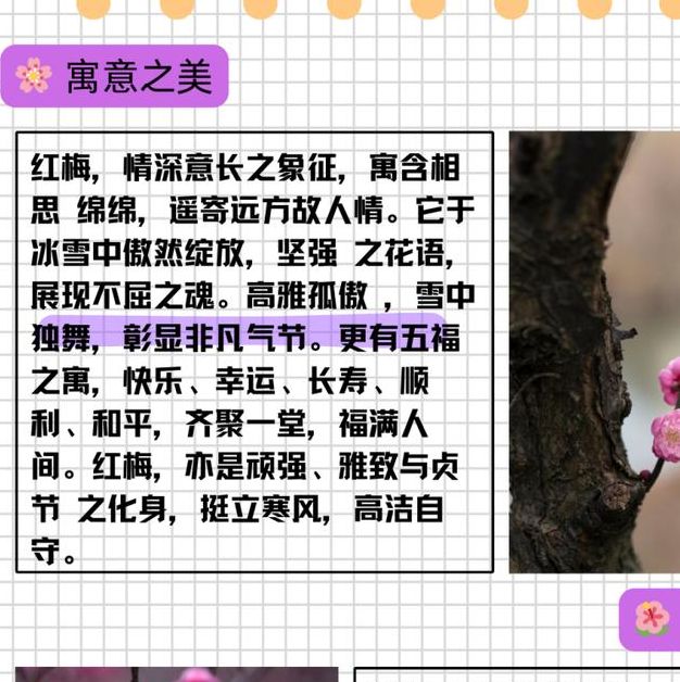 梦见酸梅的深意是好运将至还是内心纠结的象征？