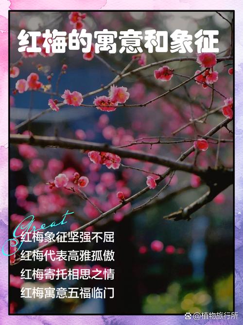 梦见酸梅的深意是好运将至还是内心纠结的象征？