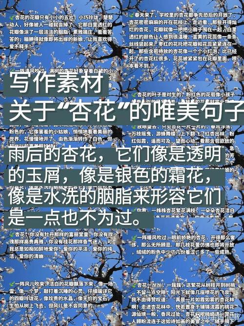 梦见杏花开的象征意义如何解读梦境与生活变迁 梦见杏花开的象征意义如何解读梦境与生活变迁