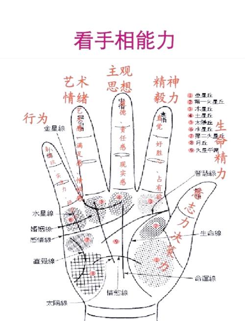 揭秘梦见看手相的深层意义,提升个人运势的小技巧 揭秘梦见看手相的深层意义,提升个人运势的小技巧