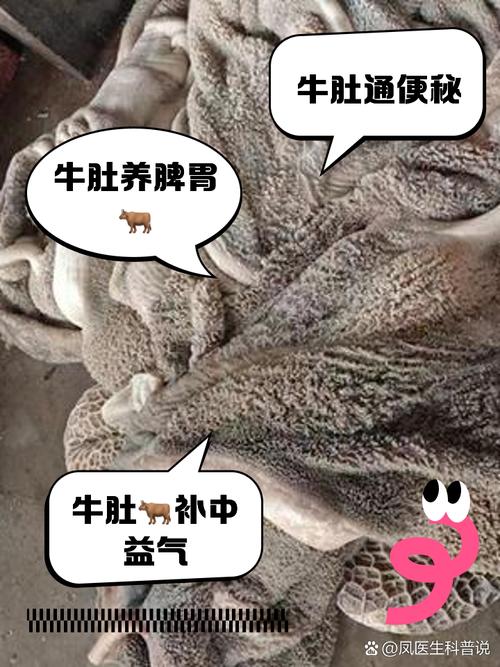 梦见牛肚的预兆是哪些？解密背后的运势与象征意义