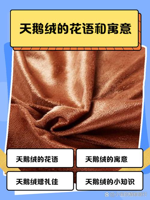 梦见天鹅绒寓意深远，究竟传达了哪些信息？