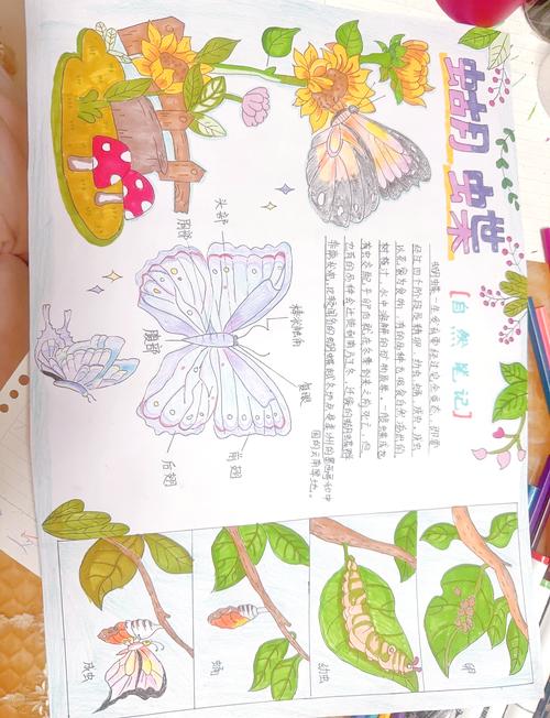 梦见白蝴蝶的真实含义探索梦境中的微妙情感变化 梦见白蝴蝶的真实含义探索梦境中的微妙情感变化