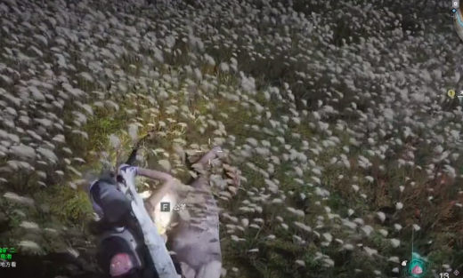 七日世界羊位置全解析：你找到所有隐藏地点了吗？