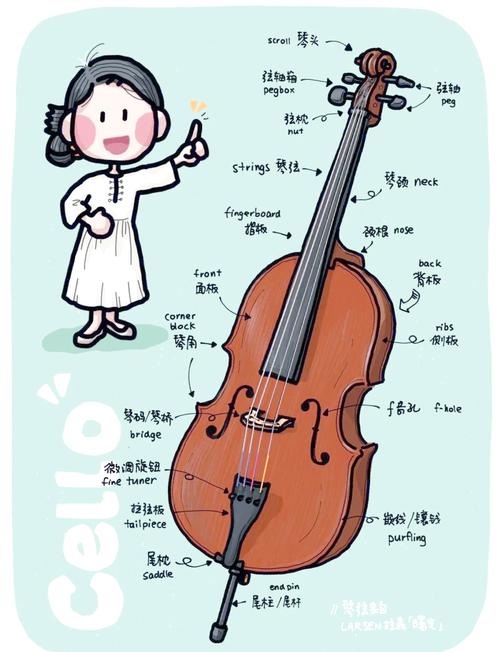 梦见大提琴的5种解析探秘音乐梦境含义