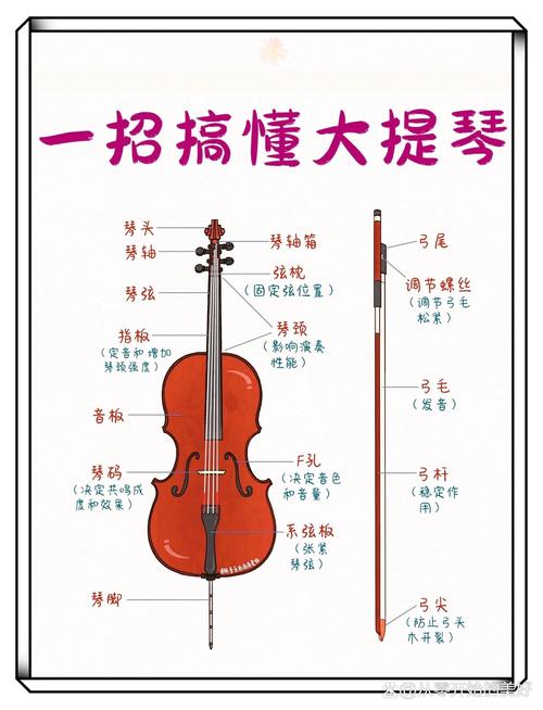 梦见大提琴的5种解析探秘音乐梦境含义