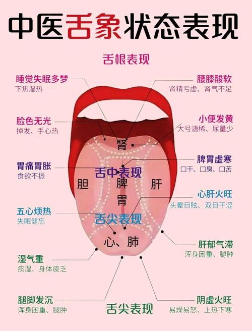 揭秘梦见舌头的深层含义,提升自我觉察力与沟通能力 揭秘梦见舌头的深层含义,提升自我觉察力与沟通能力