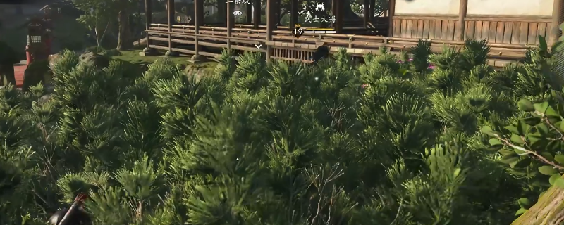 刺客信条：影攻略：解锁二条城武士大将位置，全方位助力晋级！