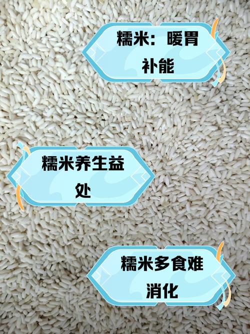 梦见糯米的5个象征意义及其潜在影响解析