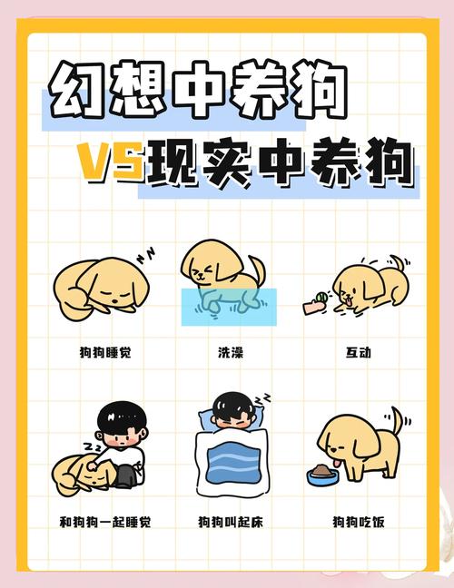 梦见养狗象征意义有哪些？解读梦境背后的心理密码