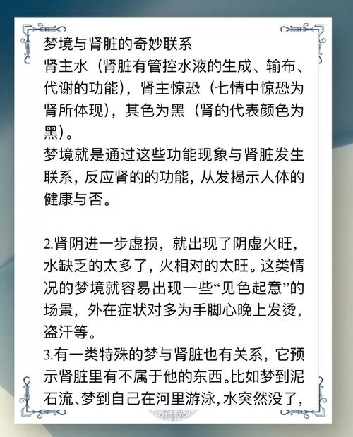 梦见肾脏预示哪些健康信号？解读梦境背后的身体暗示