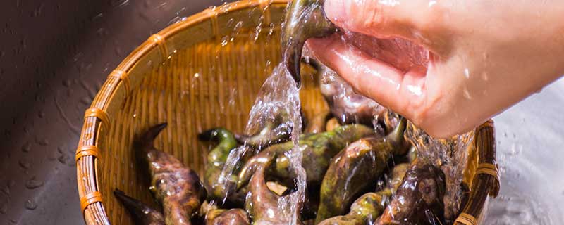 梦见菱角象征哪些意义？心灵解读提升内在觉察！