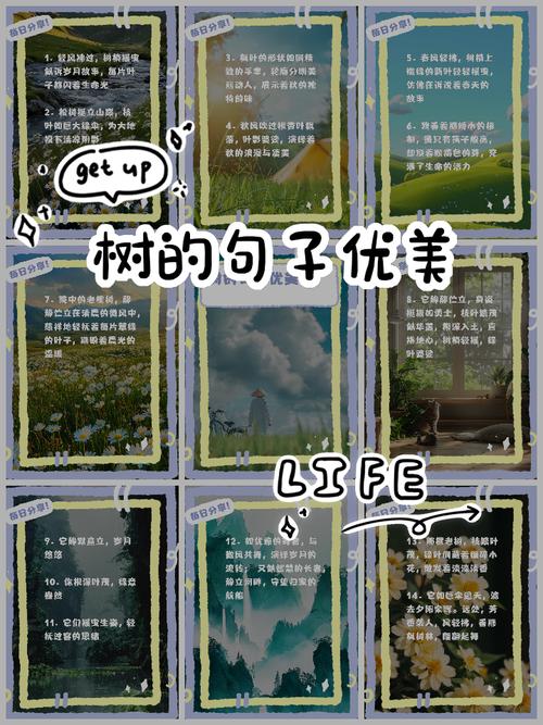 梦见松木灯的深远象征意义，读者开启心灵之光的触动体验！