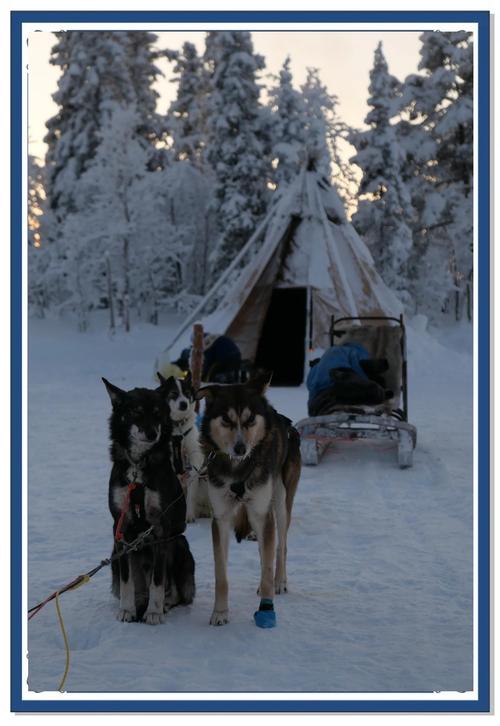 梦见雪橇意味着哪些?揭秘背后隐藏的运势玄机 梦见雪橇意味着哪些?揭秘背后隐藏的运势玄机
