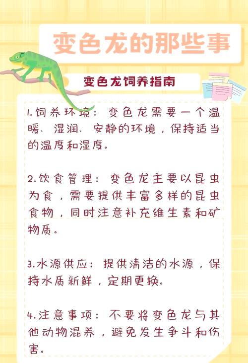 梦见变色龙寓意解析揭示内心变化的秘密与启示