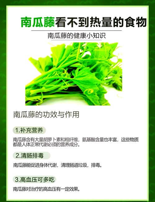 梦见瓜藤预示哪些？解密心灵成长的独特暗示