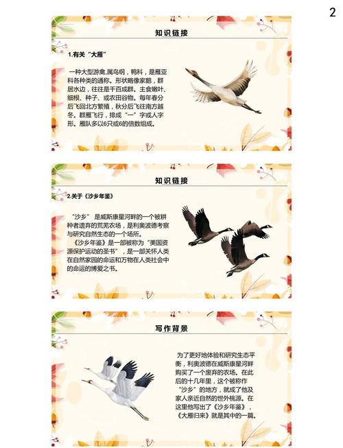 梦见大雁象征意义详解揭秘心灵成长与幸运转折的秘密